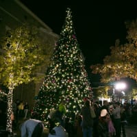 Santa's Arrival Holiday Celebration