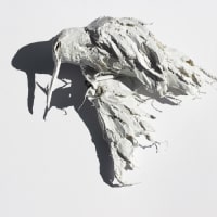 Rachel Gardner and David Solomon: "Fall to the Wild" opening reception