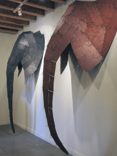 The Wildlife Project