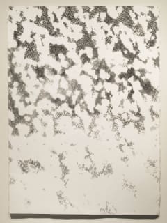 Lawndale Art Center presents Grisaille / Georgia Carter / Networks