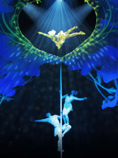 National Acrobats of China