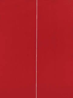 Menil Collection opening reception: Barnett Newman: The Late Work