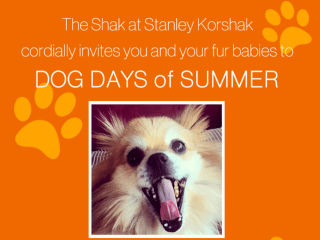 Stanley Korshak Dog Days of Summer