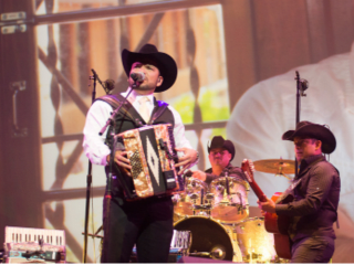 37th Annual Festival Chicano