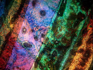 Archway Gallery presents "In A New Light" opening reception