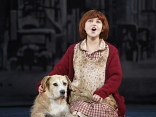Annie the Musical