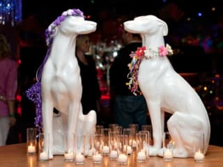 Kitchen Dog Theater presents Hooch & Pooch