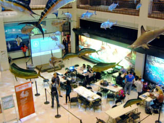 Science Hack Day Houston 2016