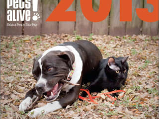 Austin Photo Set: Events_Austin Pets Alive_Belmont_Jan 2013