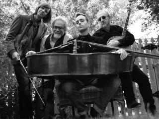 Sgt. Pepper's Lonely Bluegrass Band