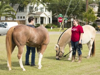 Friends of Oak Forest Park presents Festival of Abilities