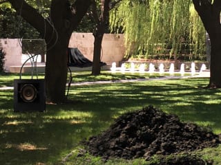 Nasher Garden