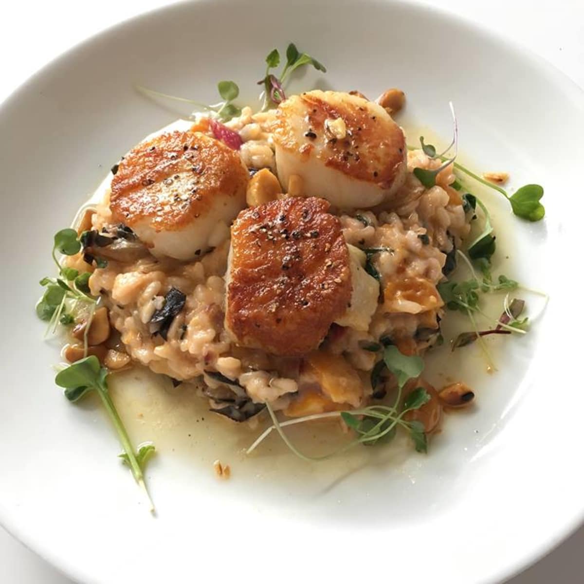 The Grove Wine Bar & Kitchen Scallops