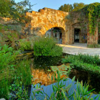Lady Bird Johnson Wildflower Center