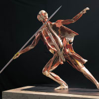Body Worlds Rx