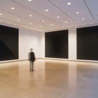 Rice Gallery presents Sol LeWitt: "Glossy and Flat Black Squares" opening reception