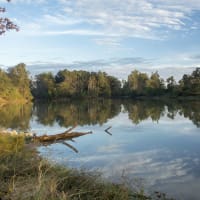 Kickerillo-Mischer Preserve
