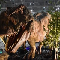 Jurassic Quest