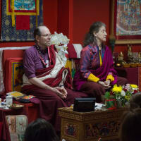 Dawn Mountain presents <i>Beyond Hard Knocks: Creative Buddhist Voices on Learning from Experience</i>