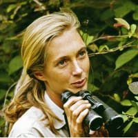 <i>Jane</i>