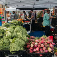 Blue Field Market