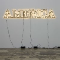 McNay Art Museum presents "30 Americans: Rubell Family Collection"