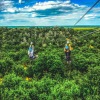 Zip Lost Pines