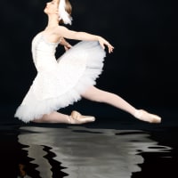 <i>Swan Lake</i>