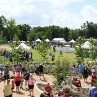 Evelyn's Park