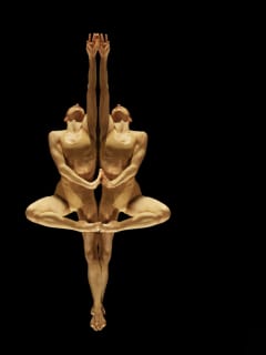 MOMIX: Opus Cactus