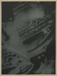Gray Contemporary presents Aimée Terburg: Both Sides Now