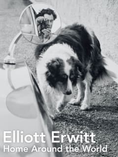 Harry Ransom Center presents Elliott Erwitt: Home Around the World