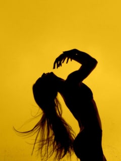 The Dance Gallery Festival