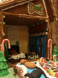 The Westin at The Woodlands presents Gingerbread Doghouse Contest and Auction Cocktail Fundraiser