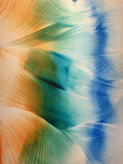 Laura Rathe Fine Art presents Roi James and Katherine Houston: Genesis