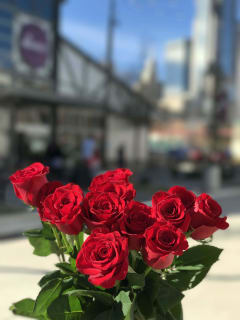 Dallas Farmers Market presents Bachelor Watch Party