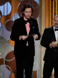 24 Wes Anderson Golden Globes fashion January 2015