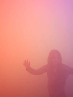 Ann Veronica Janssens