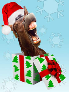 Horse Head Theatre Company presents The Jew Who Loves Christmas