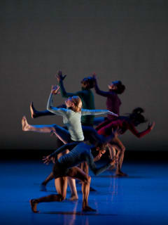 METdance presents Honored Guests