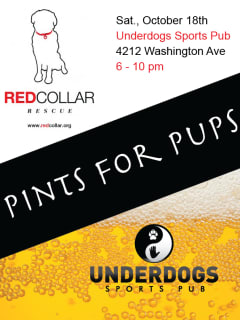 "Pints for Pups" benefiting Red Collar Rescue