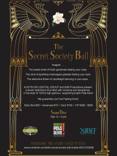 poster for the Secret Society Ball 2014 benefiting Austin Pets Alive
