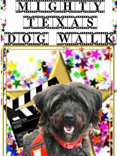 poster for 16th annual Mighty Texas Dog Walk