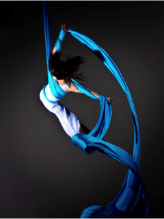 Second annual festival of aerial arts at VauLt Houston