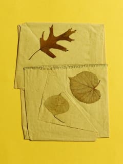 Moody Gallery opening reception: Some Truths to Learn from Leaves by Elinor Evans