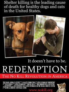 poster for Redemption: No Kill Revolution in America documentary