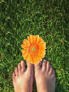 Barefoot in the Park