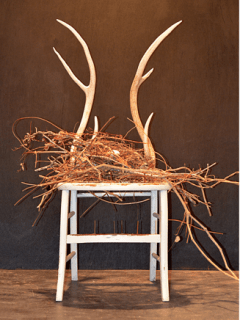 Jung Center art opening reception: Journey Through the Trees and Beyond by Christina Karll