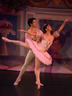 Bay Area Houston Ballet and Theatre presents The Nutcracker