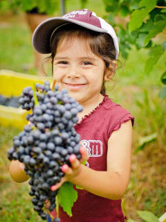 Messina Hof Winery & Resort Presents Moonlit Harvest Festival